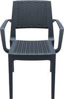 Compamia Capri Resin Dining Arm Chair - Set of 2