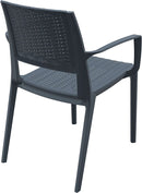 Compamia Capri Resin Dining Arm Chair - Set of 2