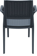 Compamia Capri Resin Dining Arm Chair - Set of 2