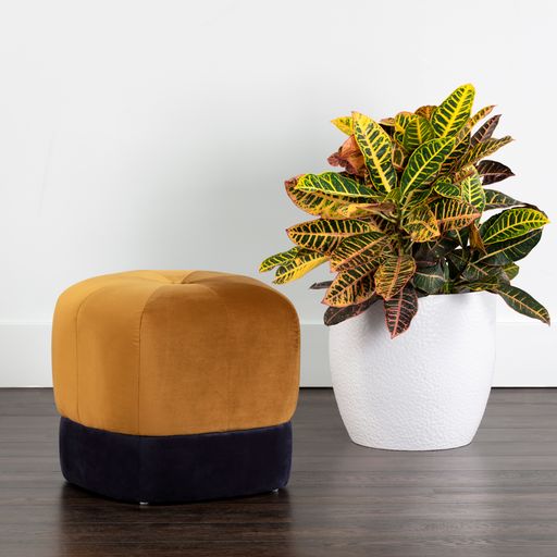 Sunpan Esti Ottoman in Gold Sky-Abbington Navy / Polo Club Stone-Bravo Metal