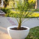 The Outdoor Plus Luna GFRC Planter Bowl