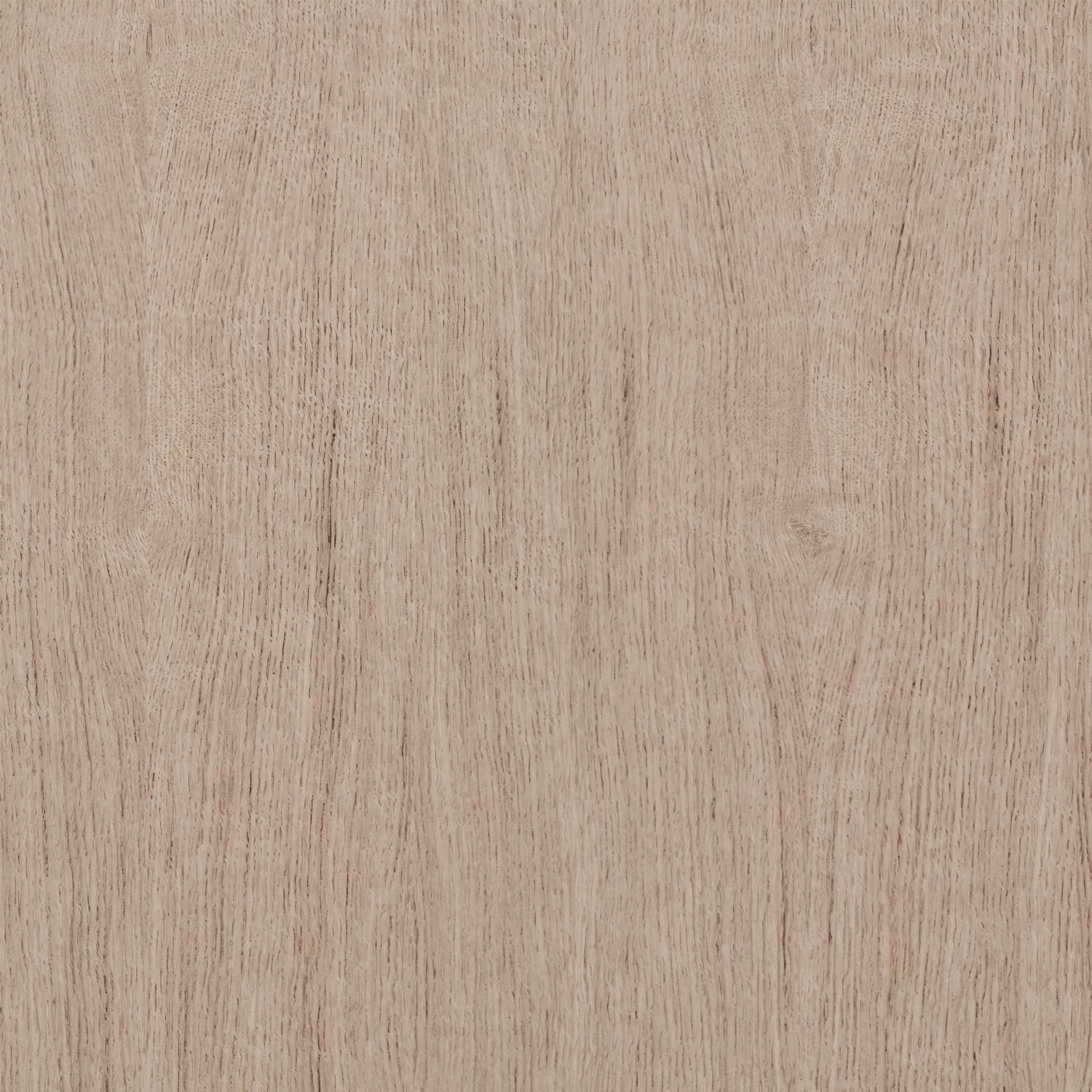 Zuo Modern Rebel Accent Chair in Beige