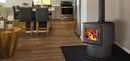 Napoleon Hearth S20 Wood Stove