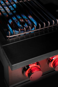 TrueFlame Double Side Burner - Liquid Propane/Natural Gas