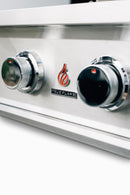 TrueFlame E Series 32" 4 Burner Gas Grill - Liquid Propane/Natural Gas