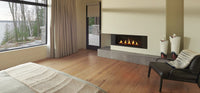 Napoleon Hearth Vector™ 50 Direct Vent Gas Fireplace
