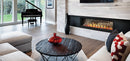 Napoleon Hearth Vector™ 62 See Through Direct Vent Gas Fireplace