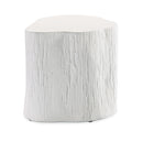 Sunset West Tree Trunk End Table